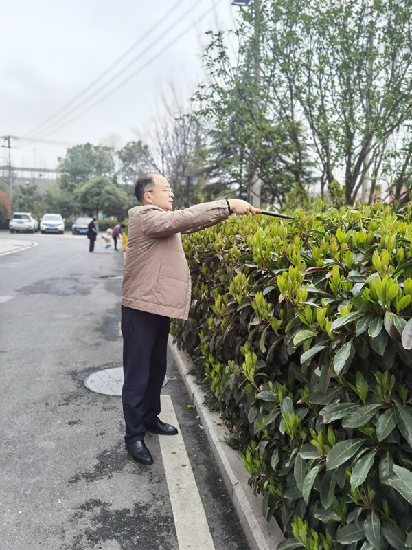 【輝隆置業(yè)】黨支部植樹節(jié)黨日活動