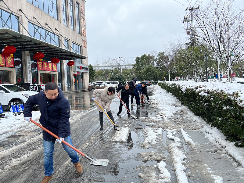 黨日活動——凝心聚力戰(zhàn)風(fēng)雪